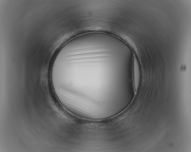 X0000091920482200709261646