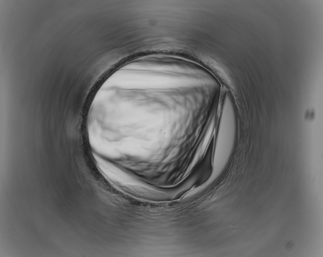 X0000091920483200709261646