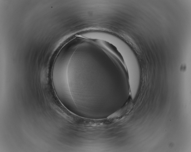 X0000091920484200709261646