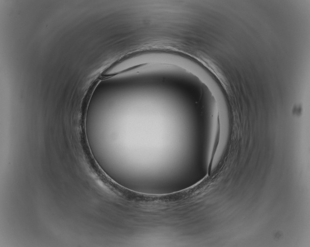 X0000091920485200709261646