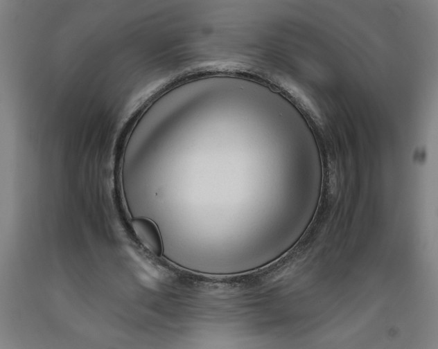 X0000091920486200709261646