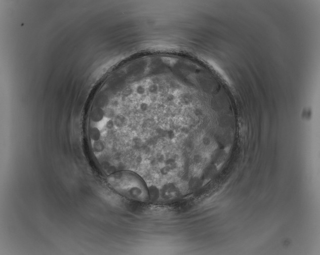 X0000091920487200709261646