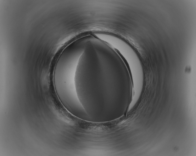 X0000091920488200709261645