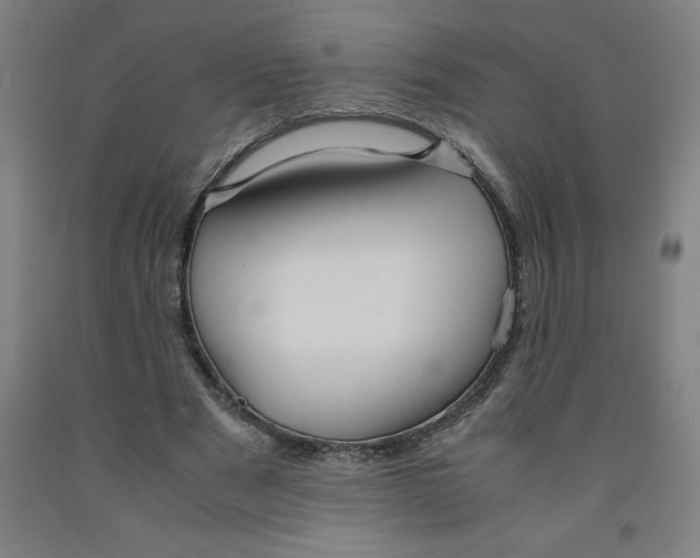 X0000091920489200709261645