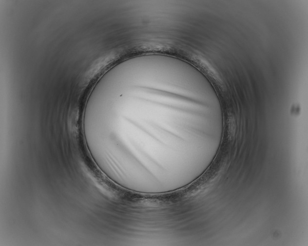 X0000091920490200709261645