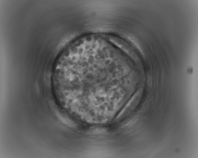 X0000091920491200709261645