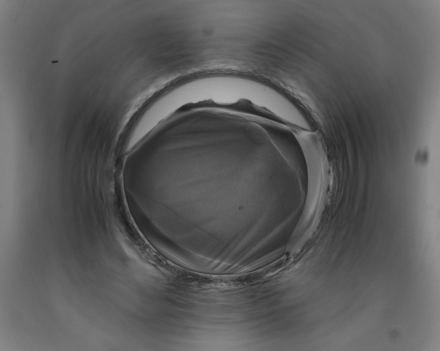 X0000091920492200709261645