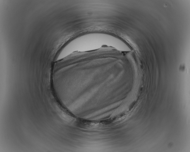 X0000091920493200709261645