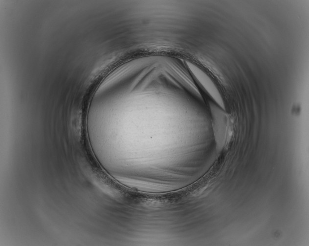 X0000091920494200709261645