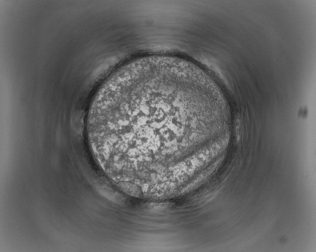 X0000091920495200709261645