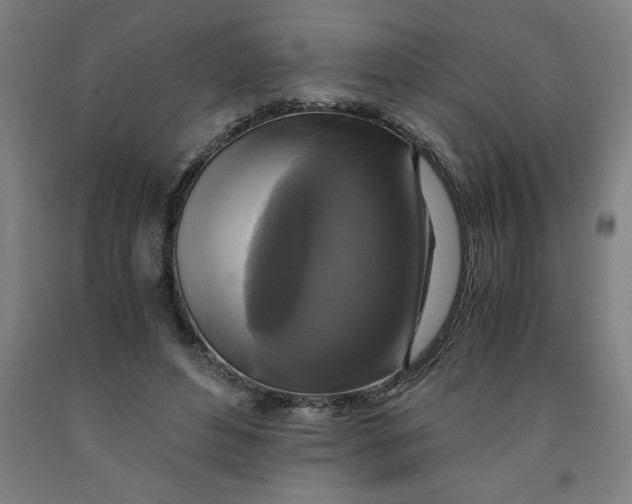 X0000091920496200709261645