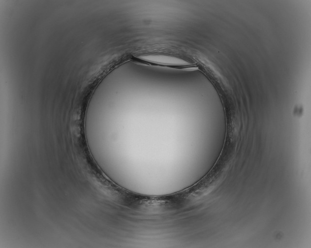 X0000091920497200709261645