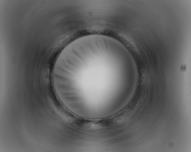 X0000091920498200709261645