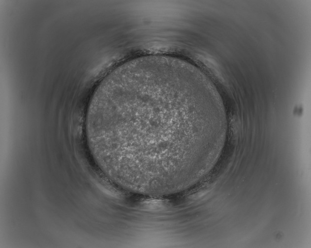 X0000091920499200709261645