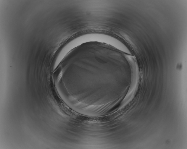 X0000091920500200709261645