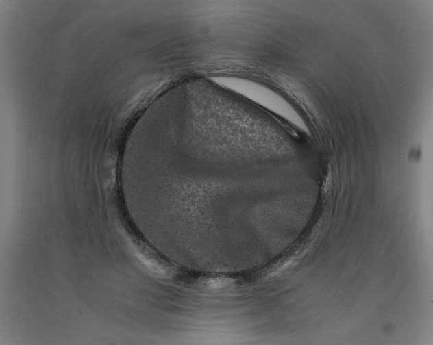 X0000091920501200709261645