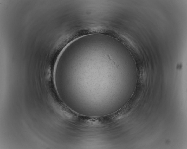 X0000091920502200709261645