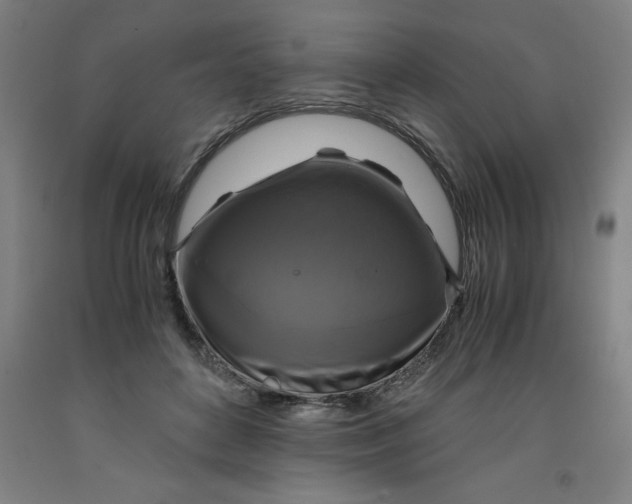 X0000091920504200709261645