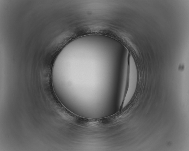 X0000091920505200709261645