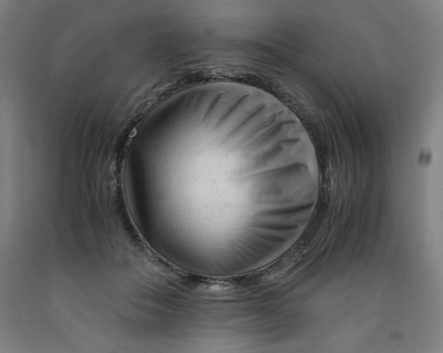 X0000091920506200709261645