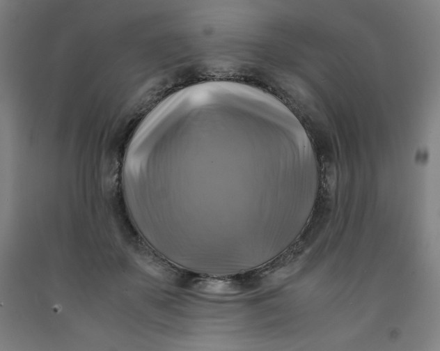 X0000091920507200709261645