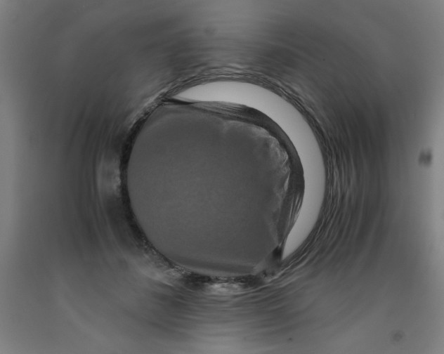 X0000091920508200709261645