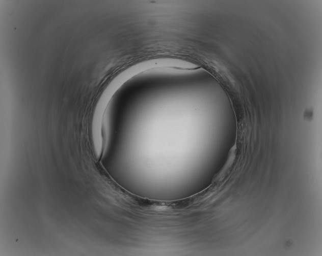 X0000091920509200709261645