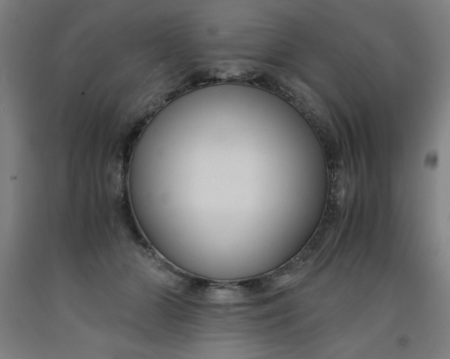 X0000091920510200709261645