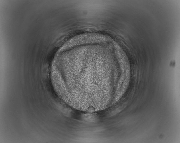 X0000091920511200709261645