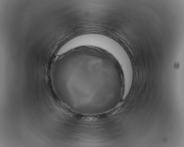 X0000091920512200709261645