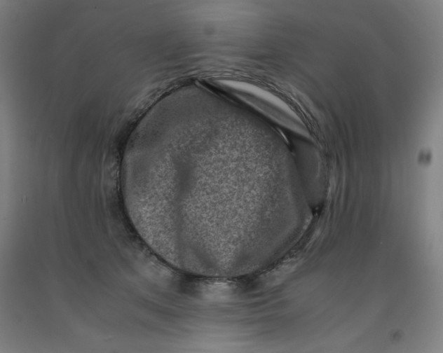 X0000091920513200709261645