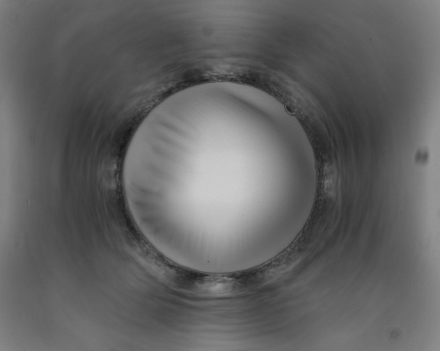 X0000091920514200709261645