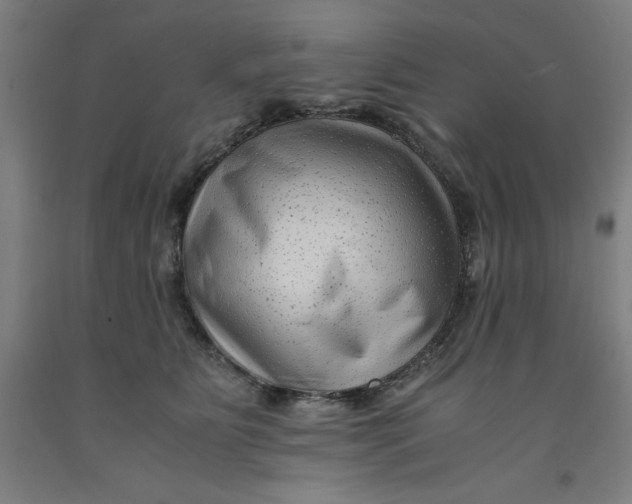 X0000091920515200709261645