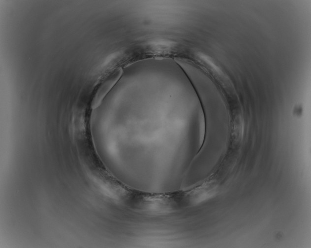 X0000091920516200709261645