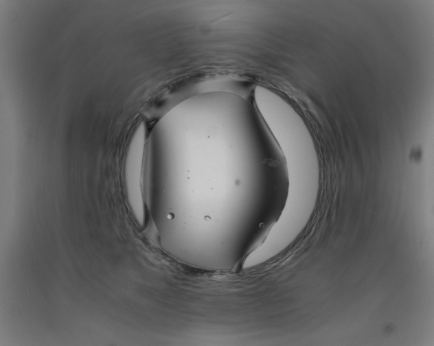 X0000091920517200709261645