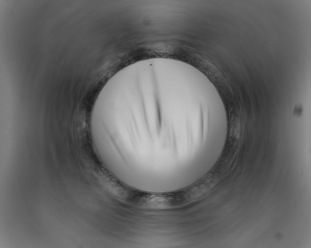 X0000091920518200709261645