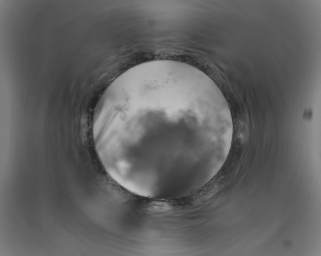 X0000091920519200709261645