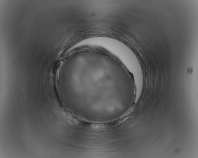 X0000091920520200709261645