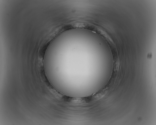 X0000091920521200709261645