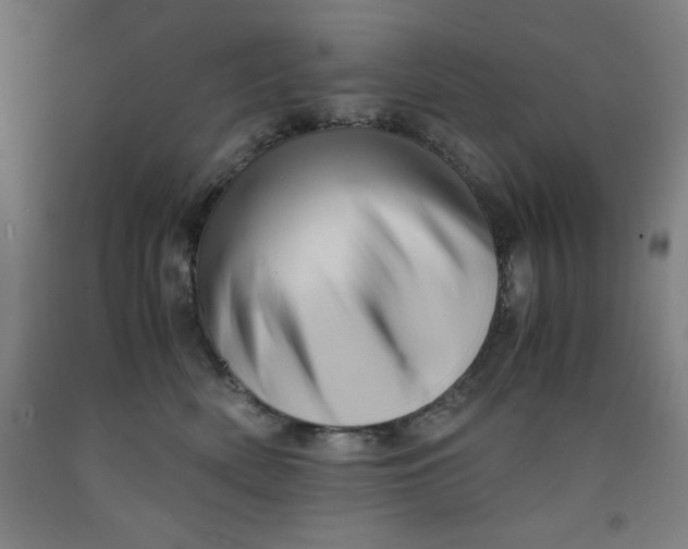 X0000091920522200709261645