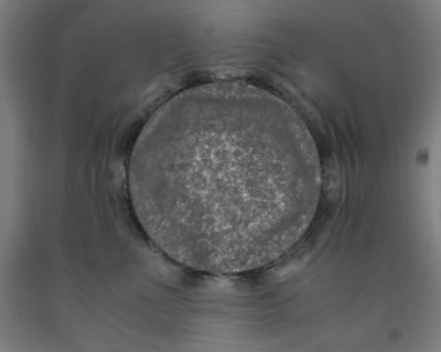 X0000091920523200709261645