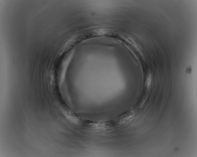 X0000091920524200709261645