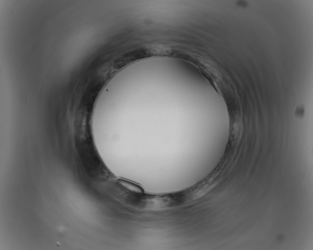 X0000091920525200709261645