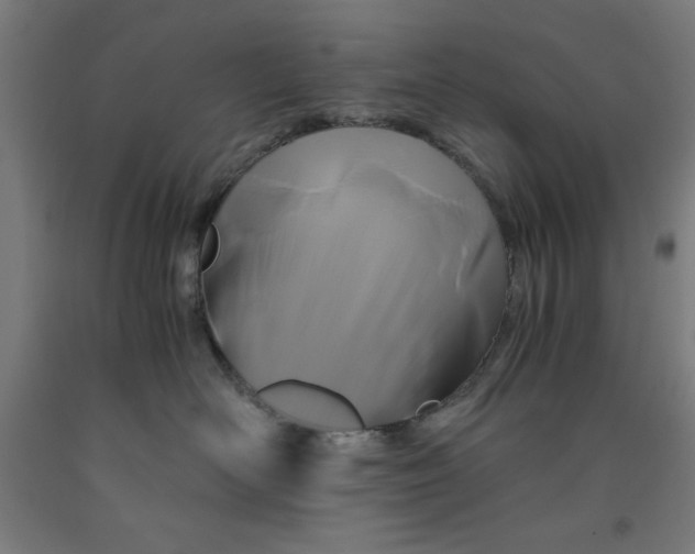 X0000091920526200709261645