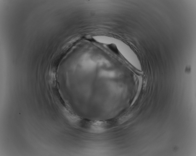 X0000091920527200709261645