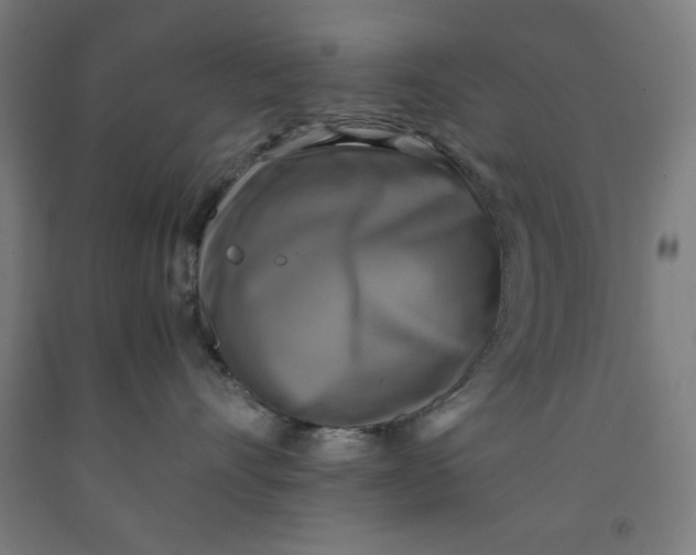 X0000091920528200709261645