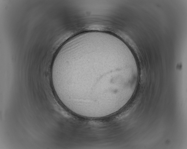 X0000091920529200709261644