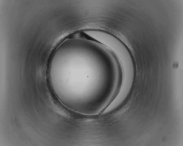 X0000091920530200709261644