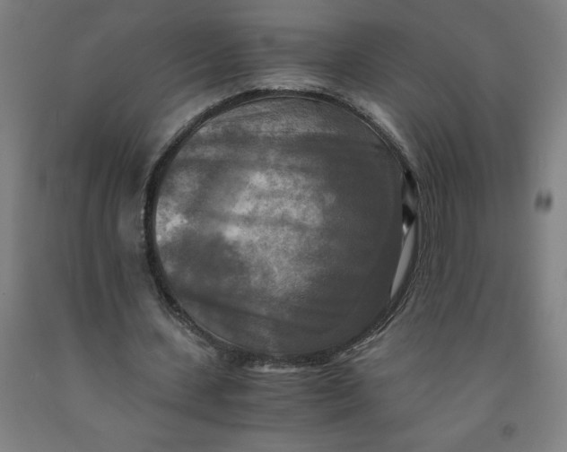 X0000091920531200709261644