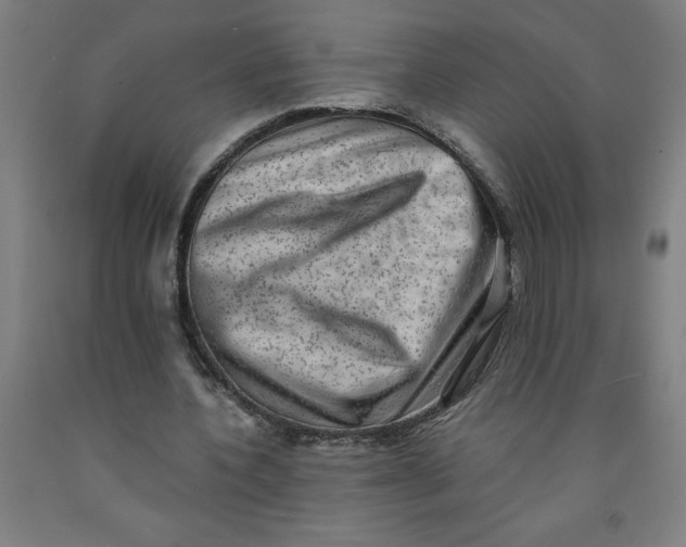 X0000091920532200709261644